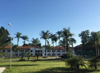 UNIVERSIDADE FLORESTAL