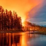 floresta com varias arvores pegando fogo, próximo a um grande lago, labaredas enormes