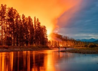 A gestão florestal e a prevenção de incêndios são essenciais para reduzir a biomassa combustível em áreas florestais. floresta com varias arvores pegando fogo, próximo a um grande lago, labaredas enormes