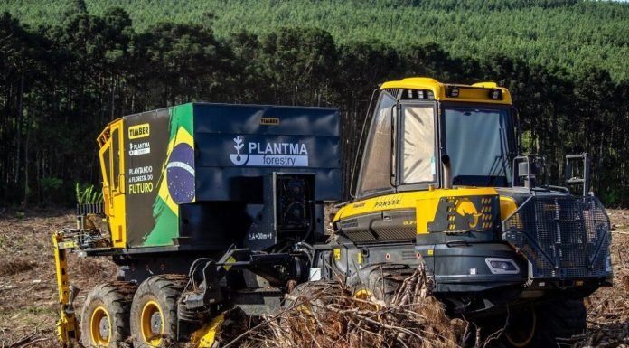 Plantadeira ponsse em operação, em uma floresta brasileira.