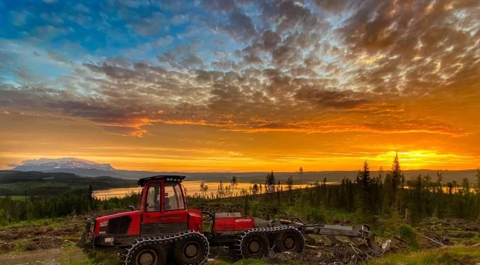 Consequências para o solo após a operação da Harvester e do Forwarder. maquina forwarder da marca komatsu, cor vermelha, por do sol ao fundo do horizonte