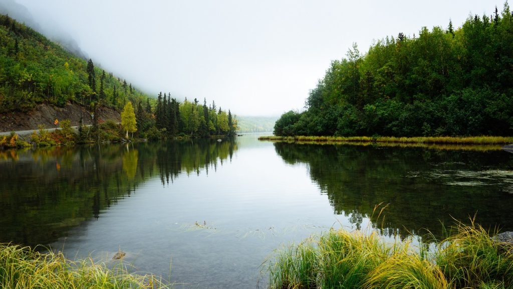 imagem de um lado em volta uma floresta com arvores altas, lago de água doce com vegetaçâo verde, paisagem orizonte ao fundo da imagem