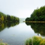 imagem de um lado em volta uma floresta com arvores altas, lago de água doce com vegetaçâo verde, paisagem orizonte ao fundo da imagem