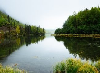 imagem de um lado em volta uma floresta com arvores altas, lago de água doce com vegetaçâo verde, paisagem orizonte ao fundo da imagem