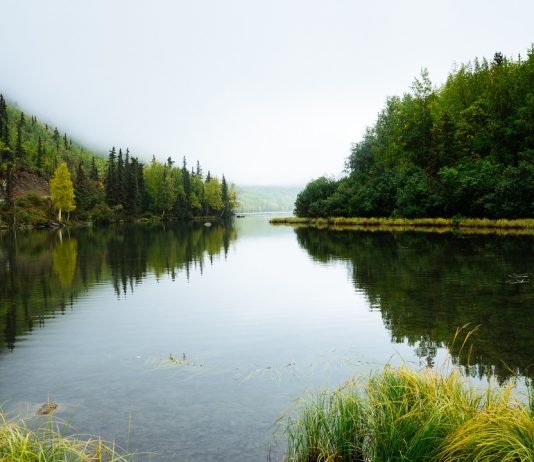 imagem de um lado em volta uma floresta com arvores altas, lago de água doce com vegetaçâo verde, paisagem orizonte ao fundo da imagem