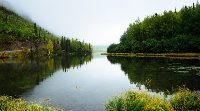imagem de um lado em volta uma floresta com arvores altas, lago de água doce com vegetaçâo verde, paisagem orizonte ao fundo da imagem